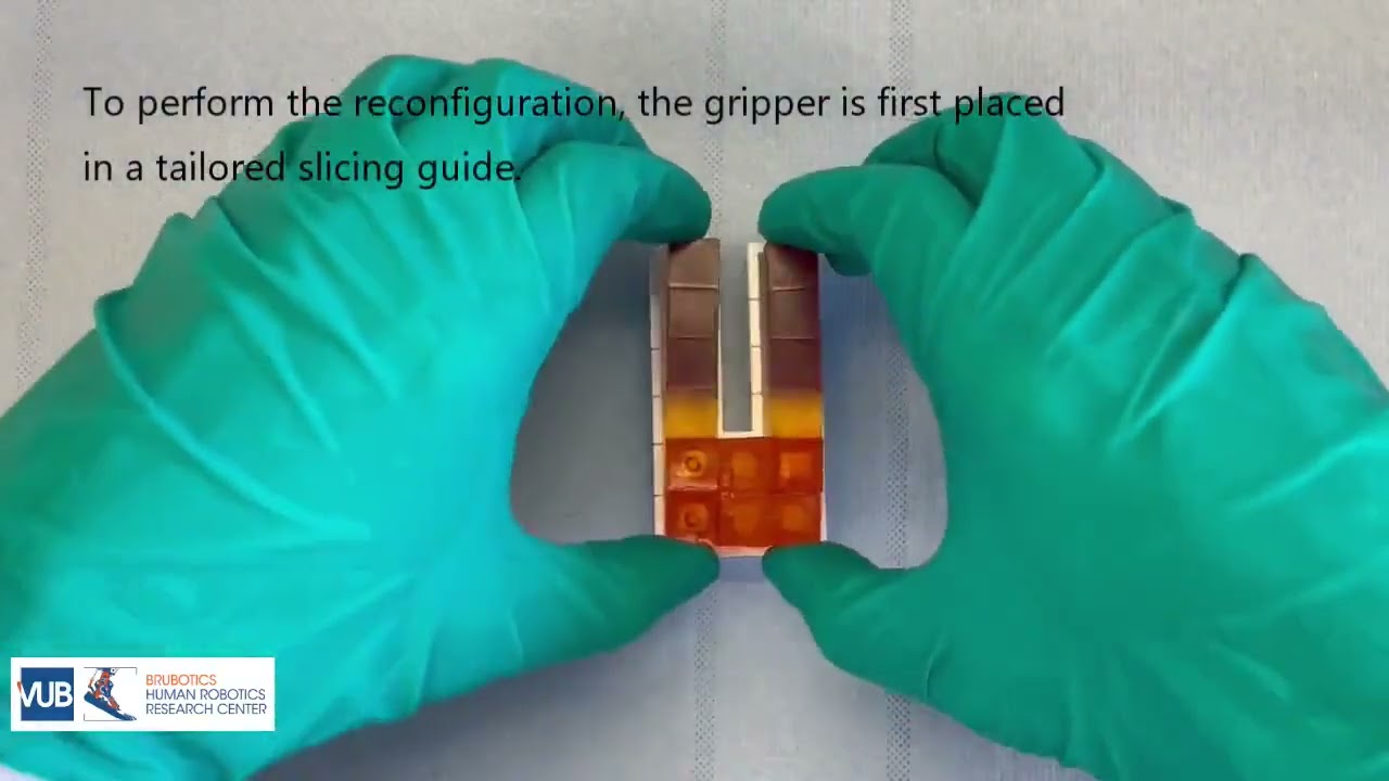 Reconfigurable, multi-material, voxel-based soft robots