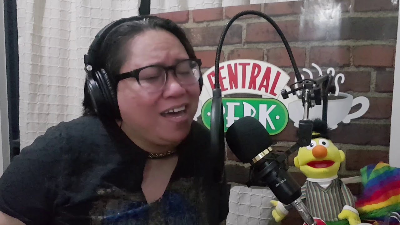 Burn TinaArena cover #90s #centralperk  #bertandernie  #sesamestreet  #centralperkfriends