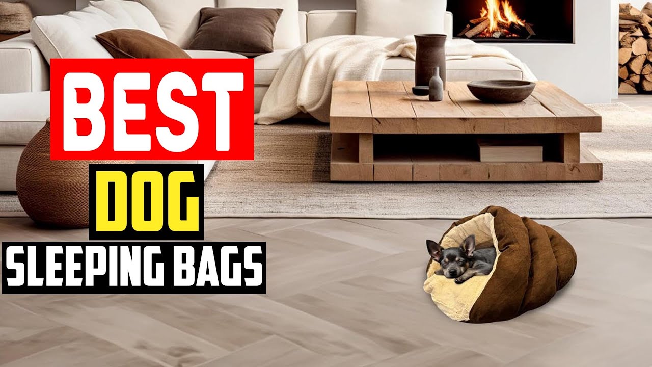 ✅Top 5 Best Dog Sleeping Bags in 2025