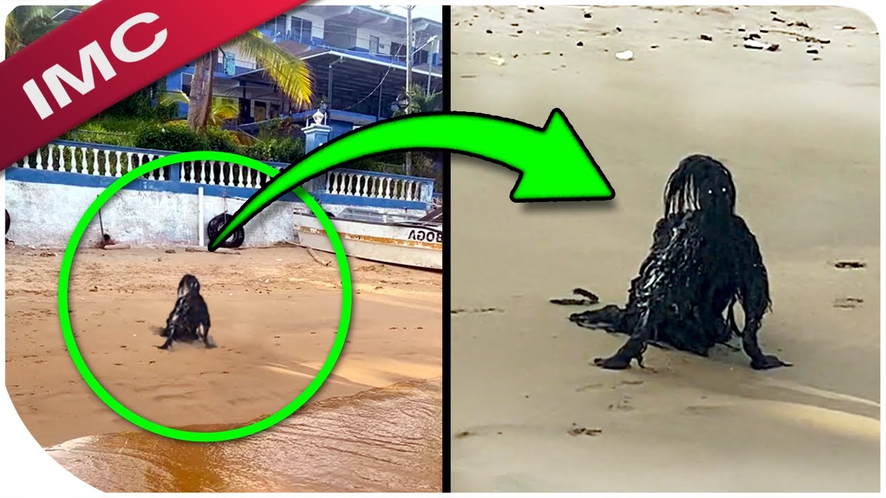 Mysterious Glitch Videos That Are Creeping Everyone Out