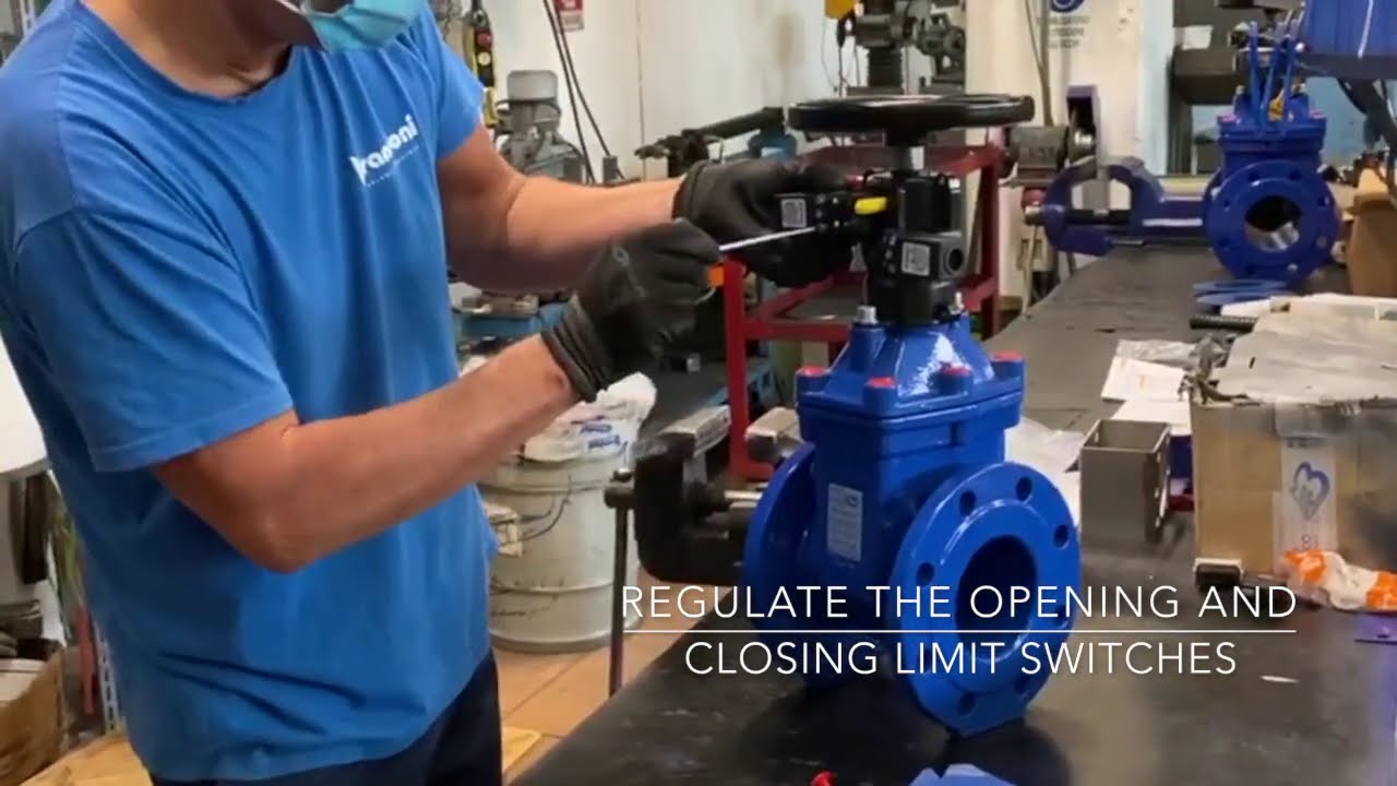 Mounting procedure for position indicator and limit switches on soft seated gate valves 20.900 serie