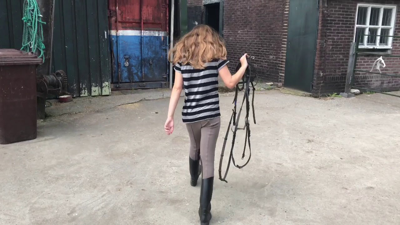Dagje Op Stal Met Mijn Verzorgpony!
