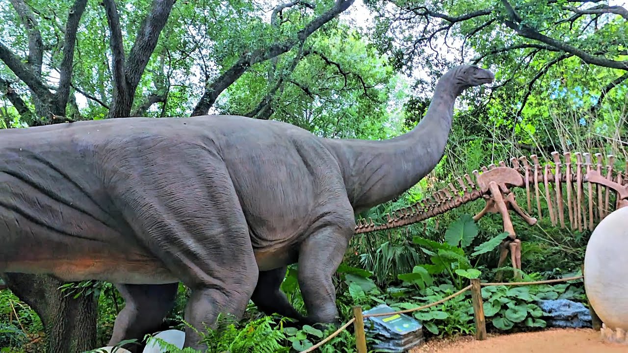 📍The Jurassic Giants dinosaur exhibit at the Houston Zoo 🦖🦕🌴#Dinosaurs#Adventure #HoustonZoo#Giants 