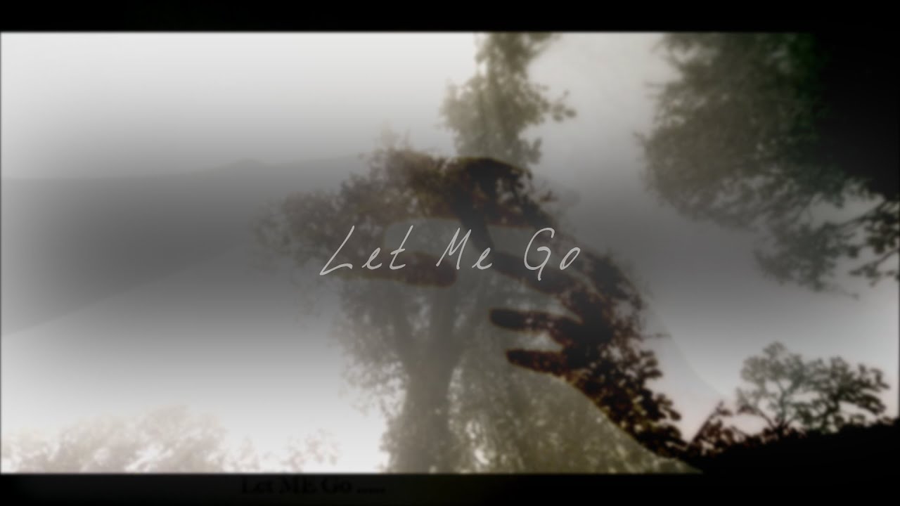 let me go