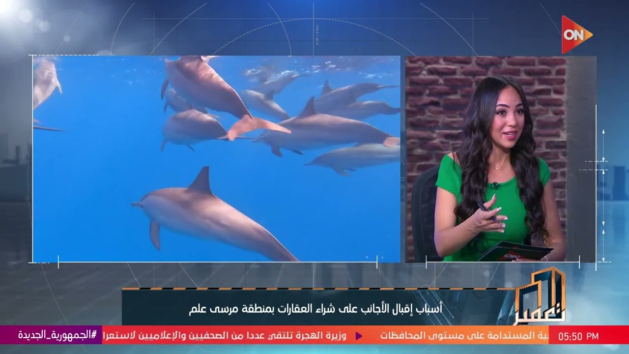 تعمير - رامي فايز يشرح شكل الحياة في مرسى علم وإيه المميزات التي تمتاز بها