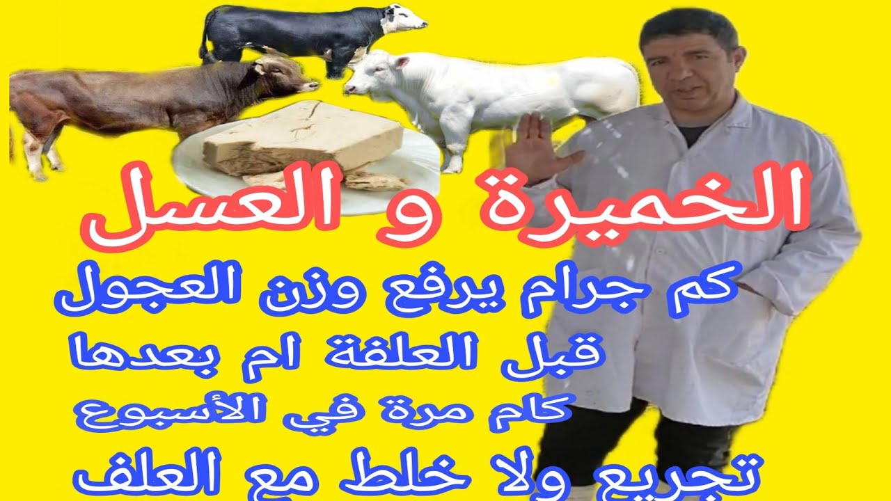اهم أسرار الخميرة والعسل التي ترفع أوزان العجول بصورة مذهلة وتفتح الشهية ..مع د.السيد الطوخي