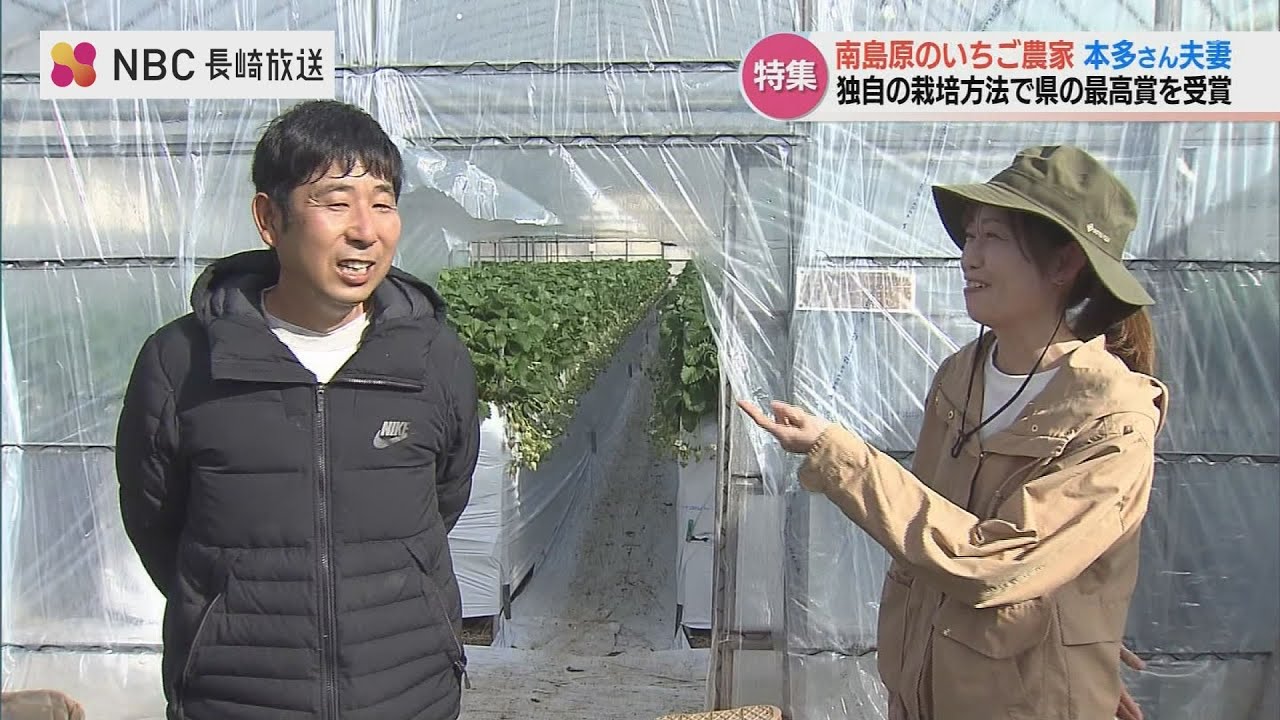 出荷量は平均の3倍『分単位の管理』でイチゴファースト夫婦の情熱　長崎 南島原市