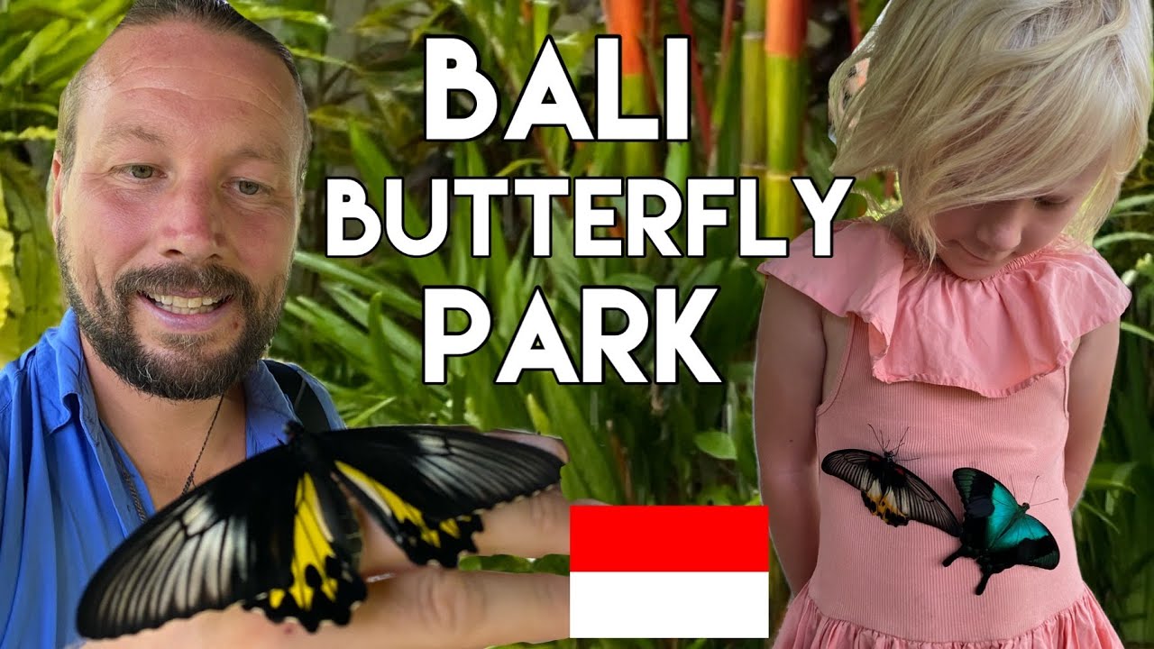 Discovering Bali's Best Kept Secret - You Won't Believe Your Eyes!