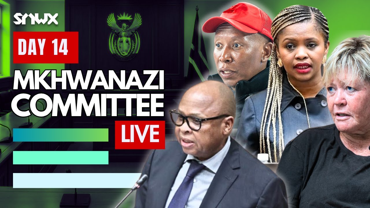 Police Deputy Minister speaks out in Parliament