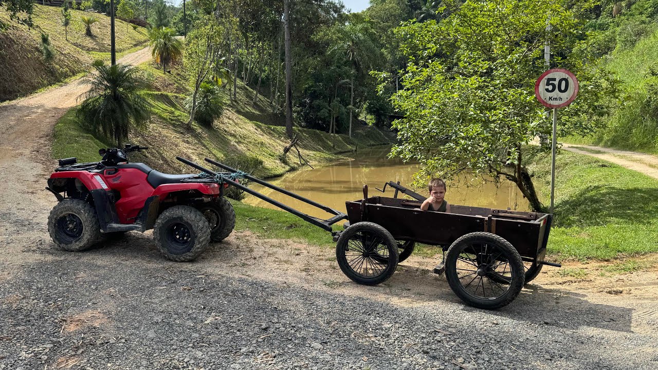 LEVEI O NENEM PARA PASSEAR NA CARROÇA  DE PÔNEI. Thiago velho 