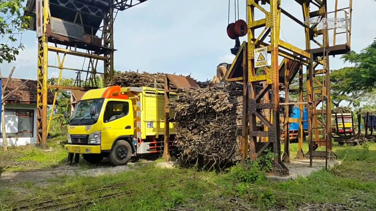 Proses Bongkar Muat Tebu di Pabrik Gula Pagotan