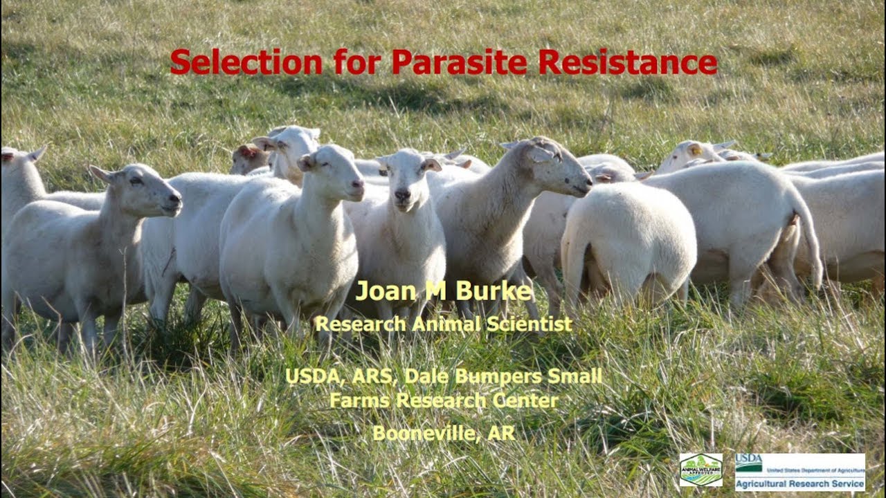 Selection For Parasite Resistance (22)