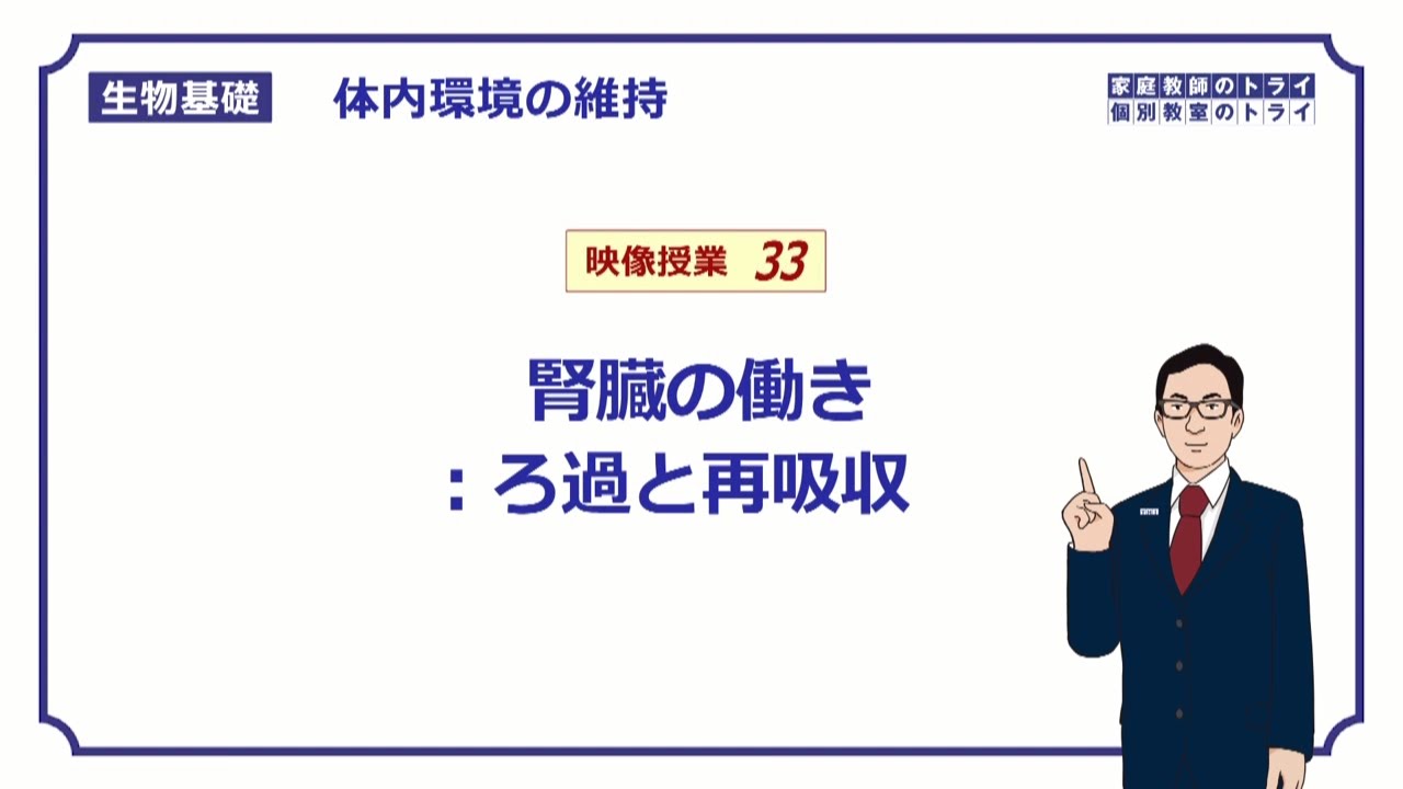 【生物基礎】　体内環境の維持33　腎臓の働き：ろ過と再吸収　（１３分）