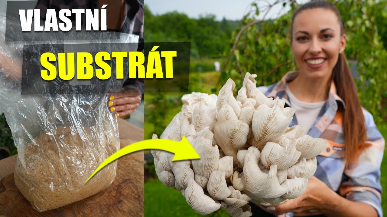 NÁVOD NA VLASTNÍ SUBSTRÁT - PĚSTOVÁNÍ HUB DOMA