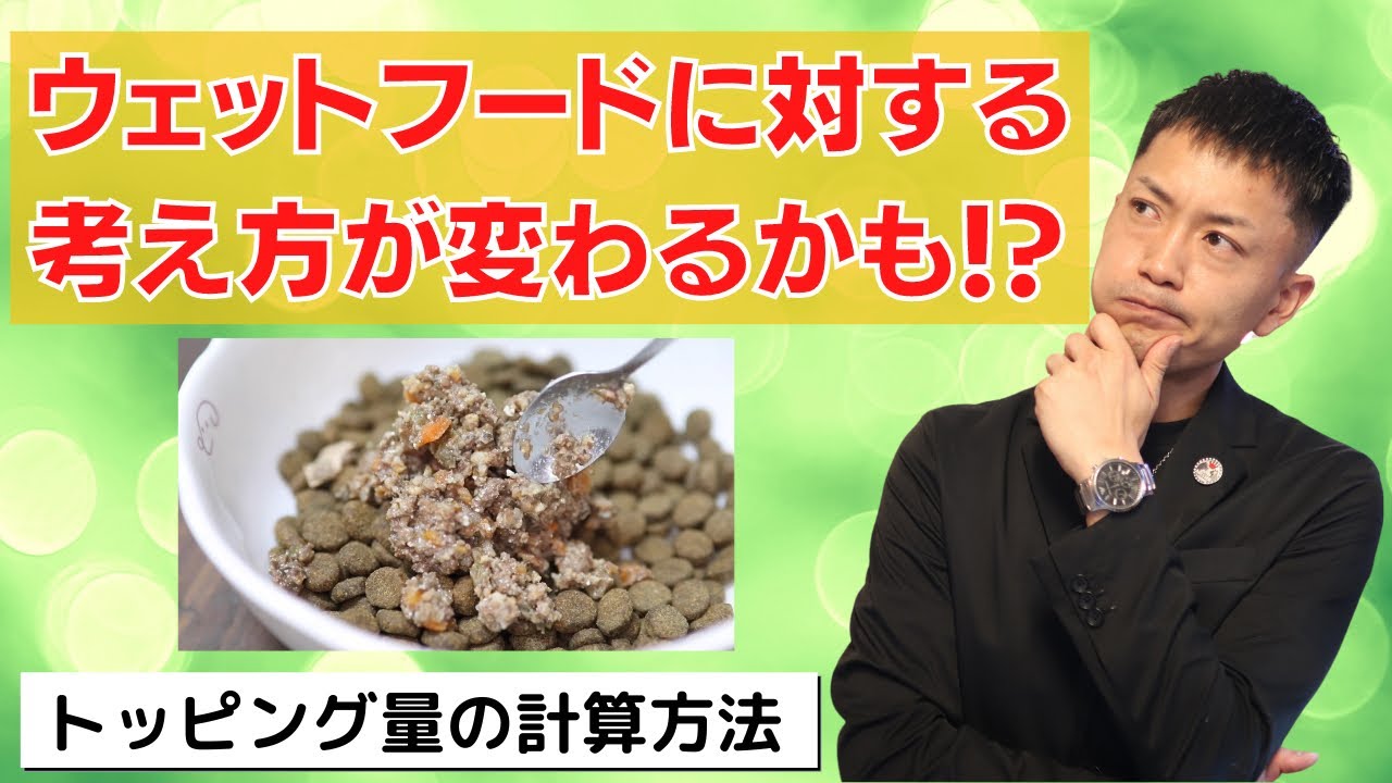 【ウェットフードに疑問がある方必見！】トッピングするメリットと正しい配分計算を犬の管理栄養士が徹底解説！