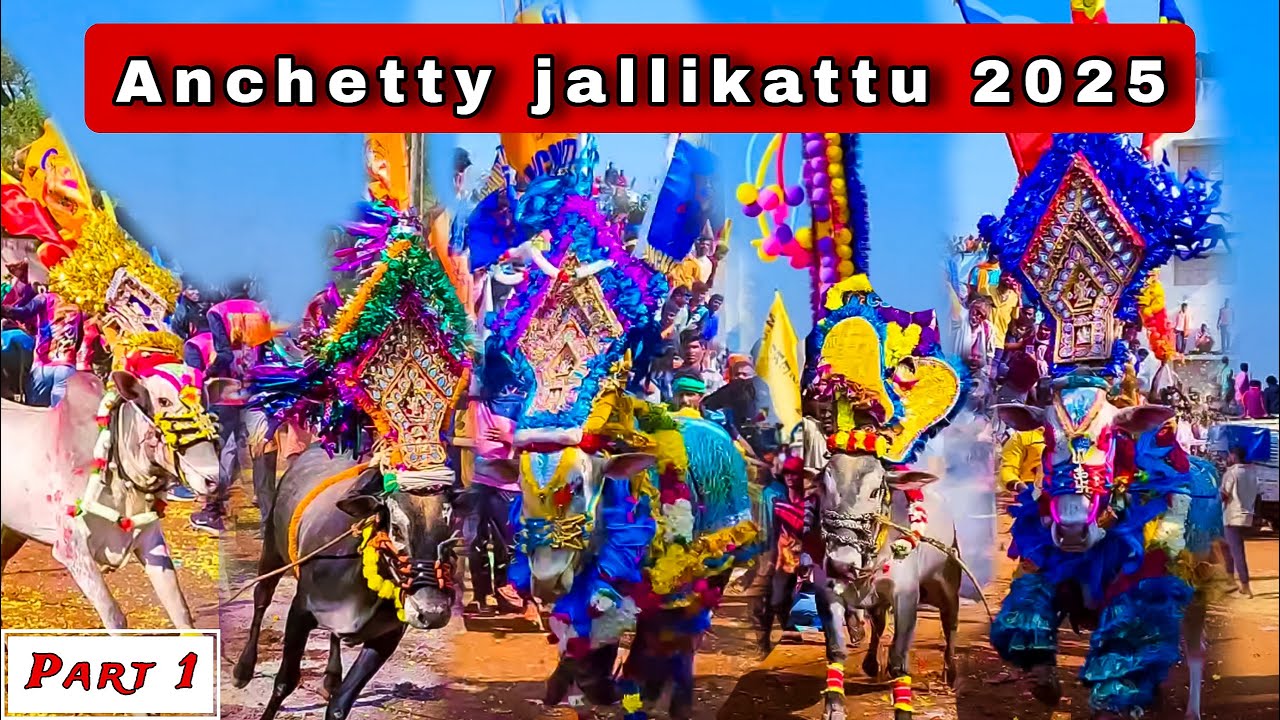 Anchetty (அஞ்செட்டி) jallikattu 2025 | Part 1 | Anchetty hori habba | bull festival | #paapuvj