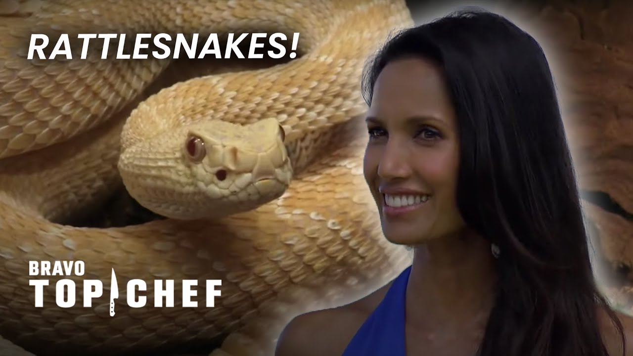 Top 5 WEIRDEST Quickfire Challenges (Mashup) | Top Chef