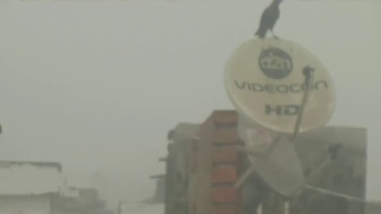 Patna Winter Season , Dense Fog