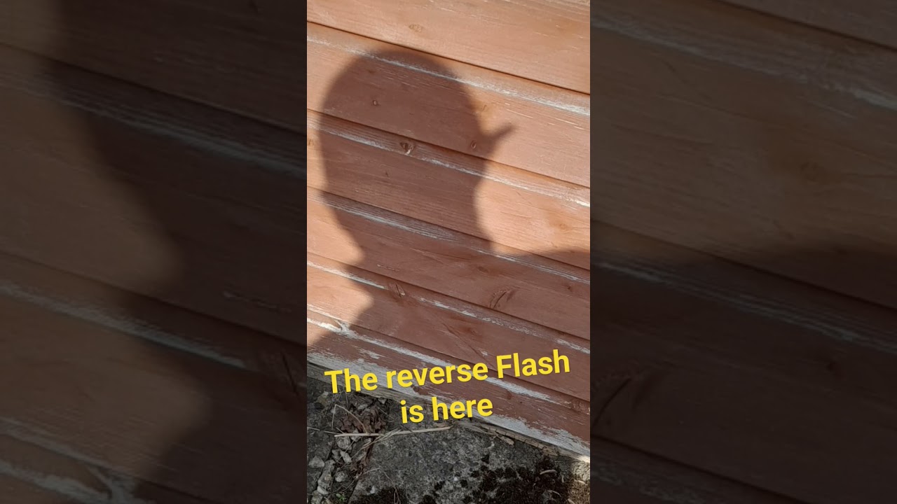 #thereverseflash