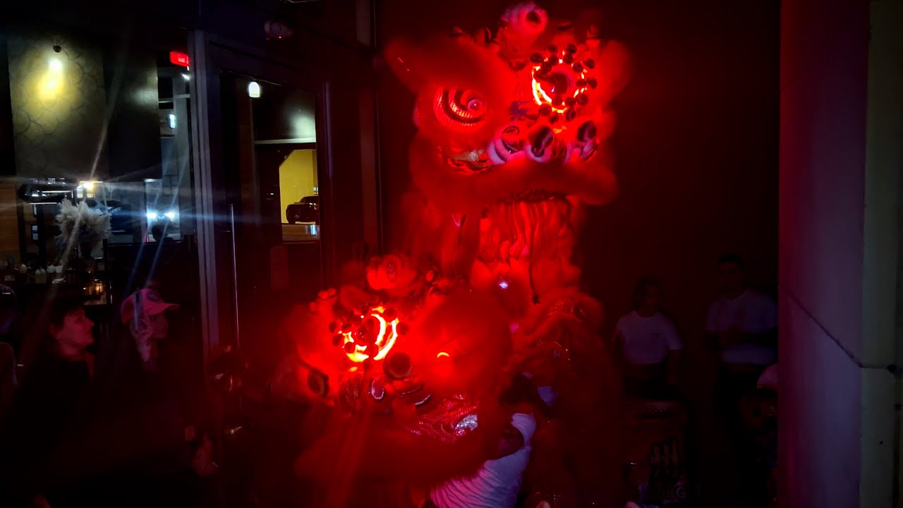 Texas Dragon/Lion Dance Team Post Tea Ceremony Performance
