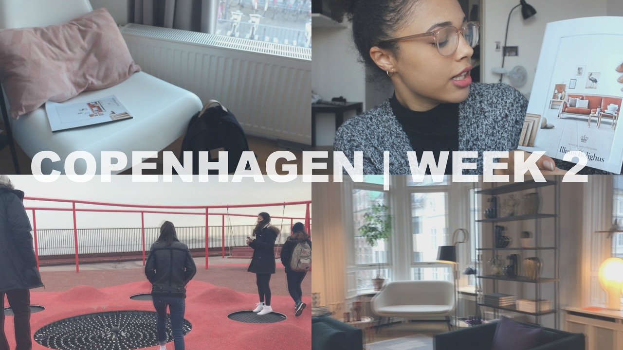 Week 2 Recap - DIS Copenhagen