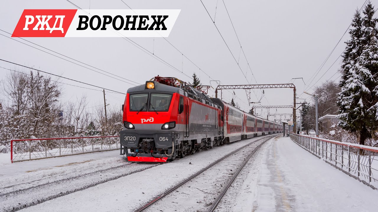 Новогодняя видеоохота в Воронеже 01.01.2019 г.