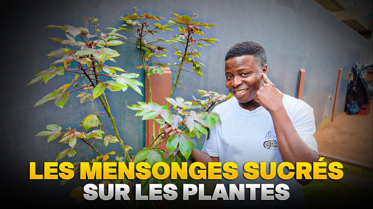 Les mensonges sucrés sur les plantes
