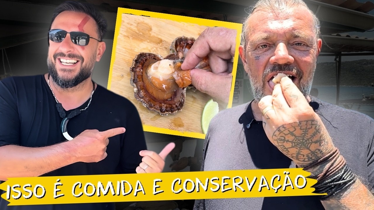 🌊 O QUE NINGUÉM TE CONTA SOBRE A PESCA NO BRASIL!