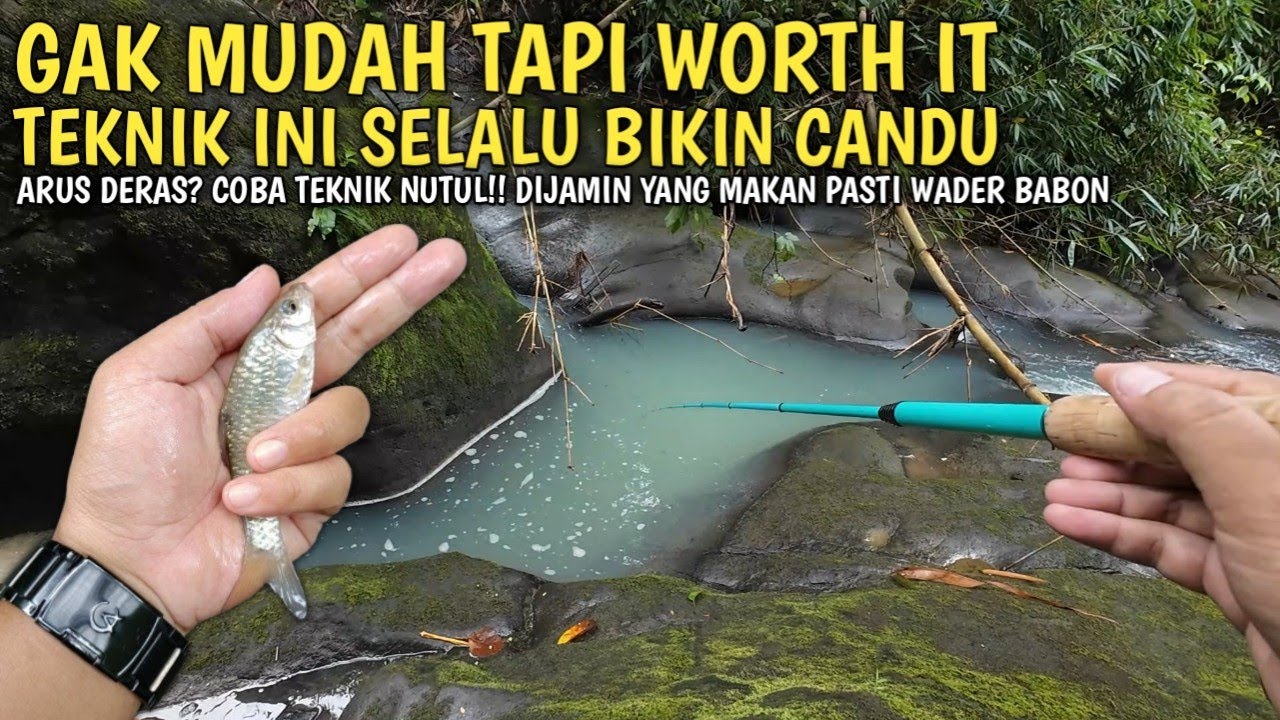 TEKNIK NUTUL INI GAK MAIN-MAIN‼️ MANCING WADER ARUS DERAS JADI LADANG BABON 🎣🔥
