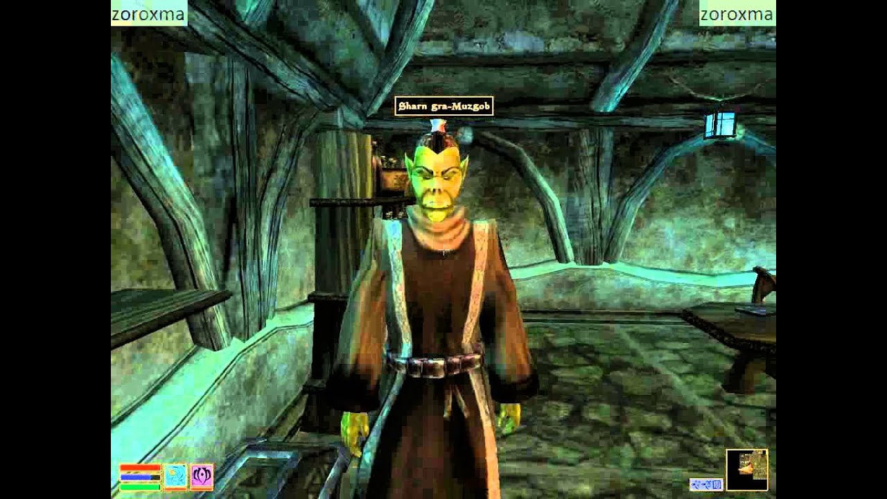 Morrowind I'm NOT a Necromancer