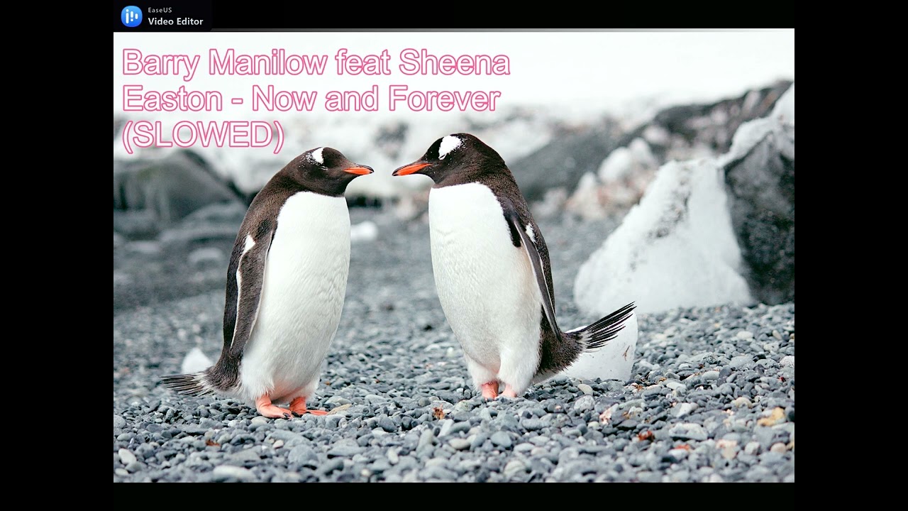 (Barry Manilow feat Sheena Easton) Now and Forever (SLOWED)