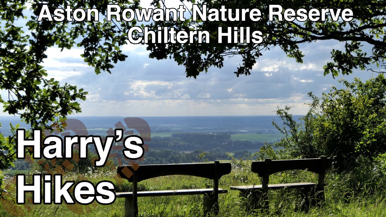 Aston Rowant Nature Reserve - Chiltern Hills | Harry's Hikes