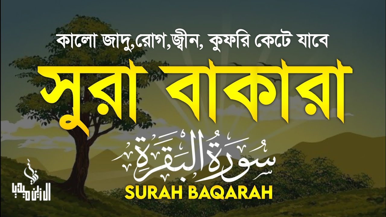 প্রতিদিন ইফতারের আগে শুনুন সুরা বাকাহরার তেলাওয়াত । After ifter Listen Surah al Baqarah