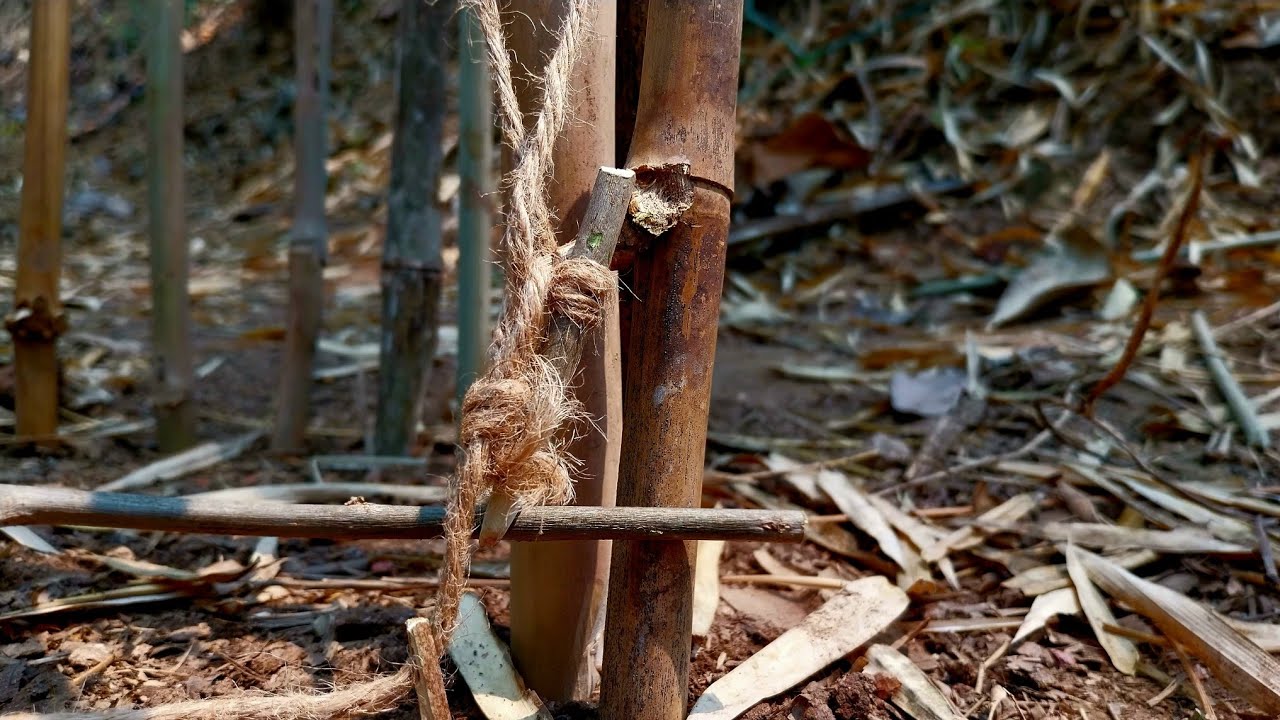 กับดักสัตว์ กับดักแลน กับดักงู กับดักสัตว์เลื้อยคัน |Animal trap