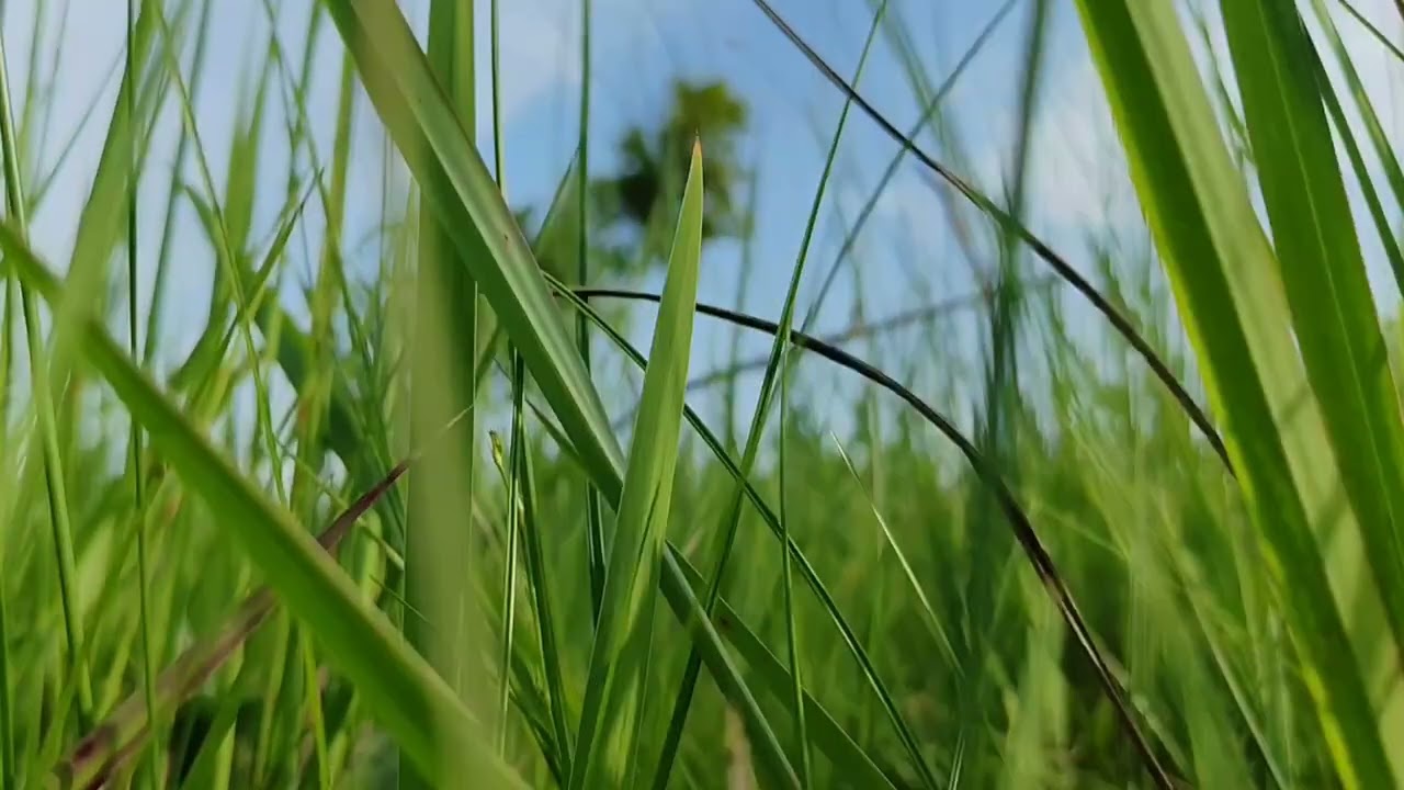 Mazingira bora kwa Furaha yako...