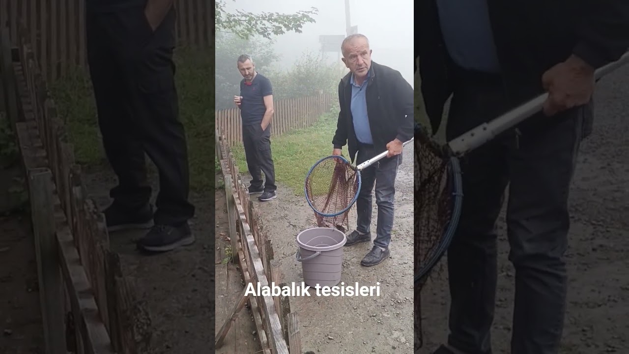 bu sıralar keyfimiz yerinde