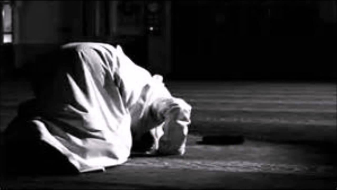 سورة محمد رواع التلاوات هاني الرفاعي