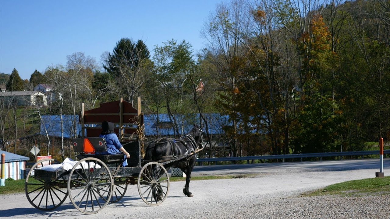 This Group of Amish Live Longer. Here's Why.