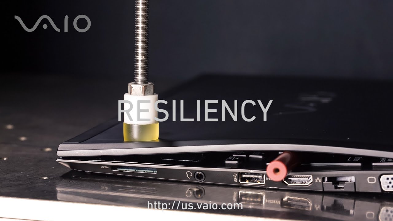 VAIO S