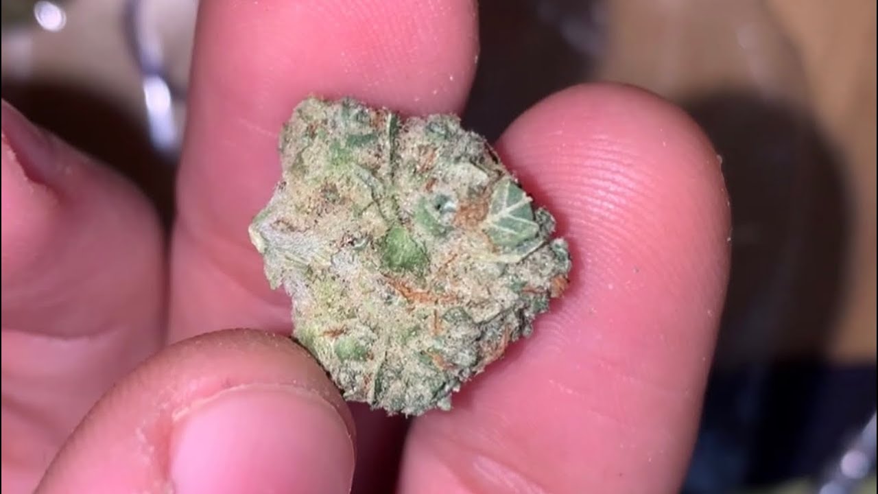 Super Sour Orange Strain Review!