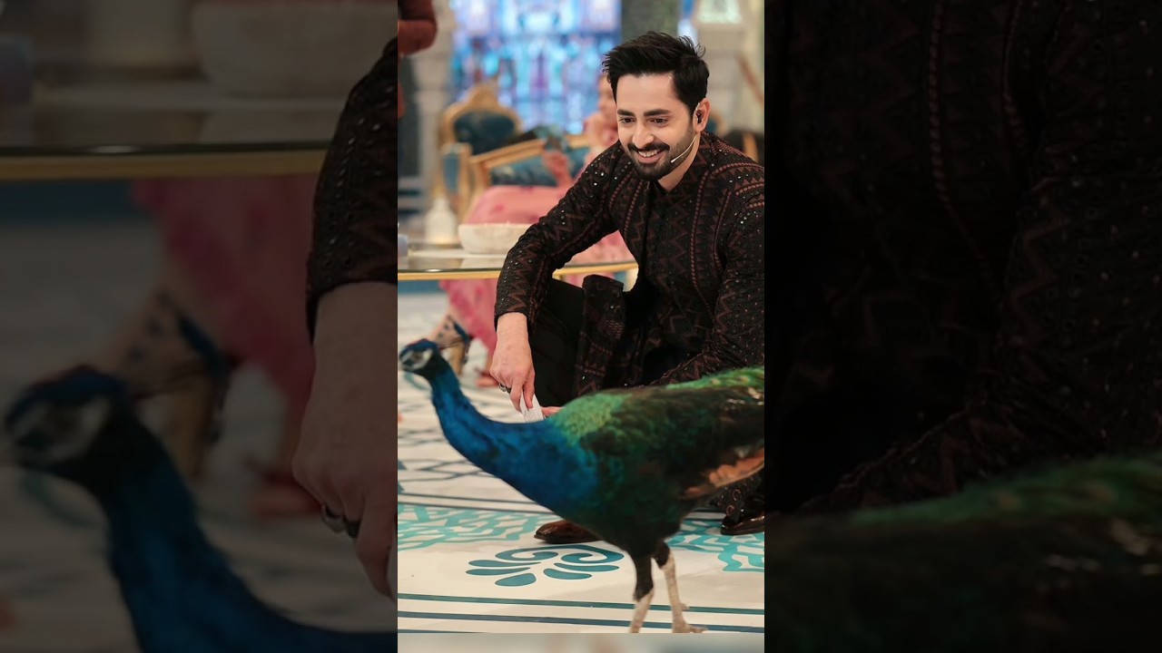 Danish taimoor With Rabia Anam On Ramzan Transmission 😲#shortsfeed#danishtaimoor#youtubeshorts