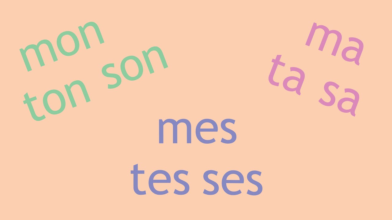 Les adjectifs possessifs (mon, ma, mes…) en français, fle – grammaire 5