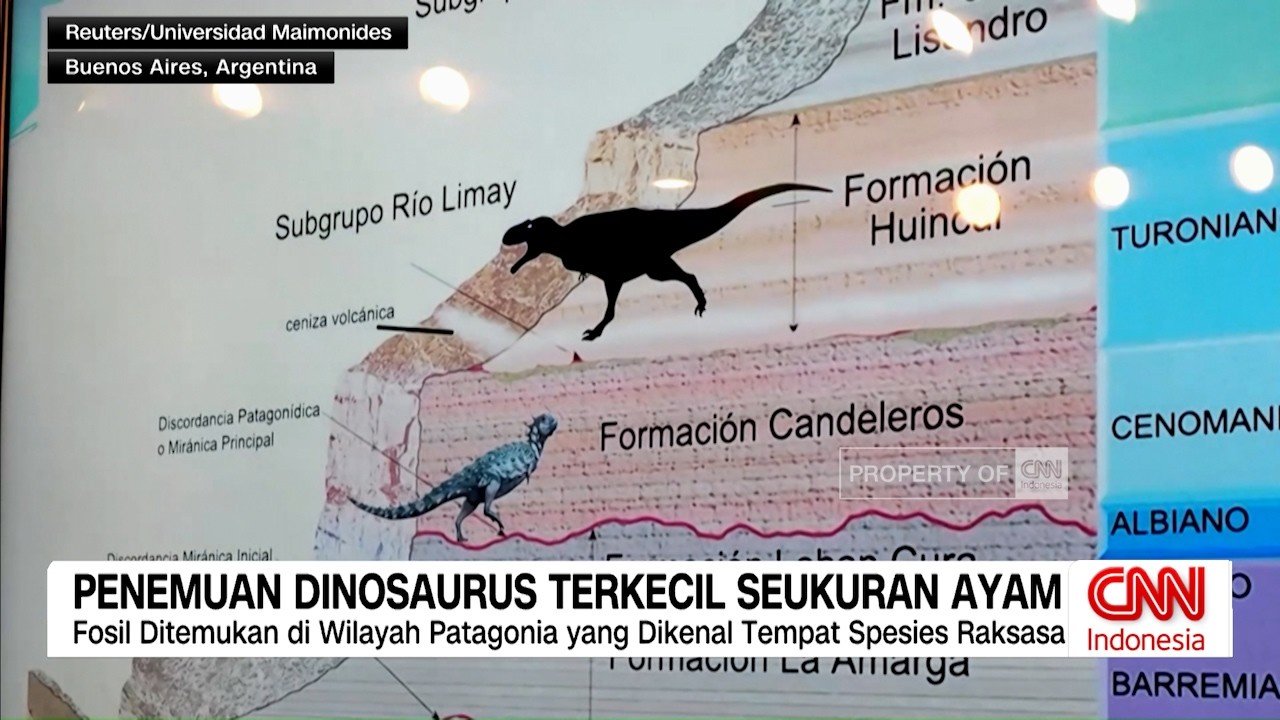 Penemuan Dinosaurus Terkecil Seukuran Ayam di Argentina