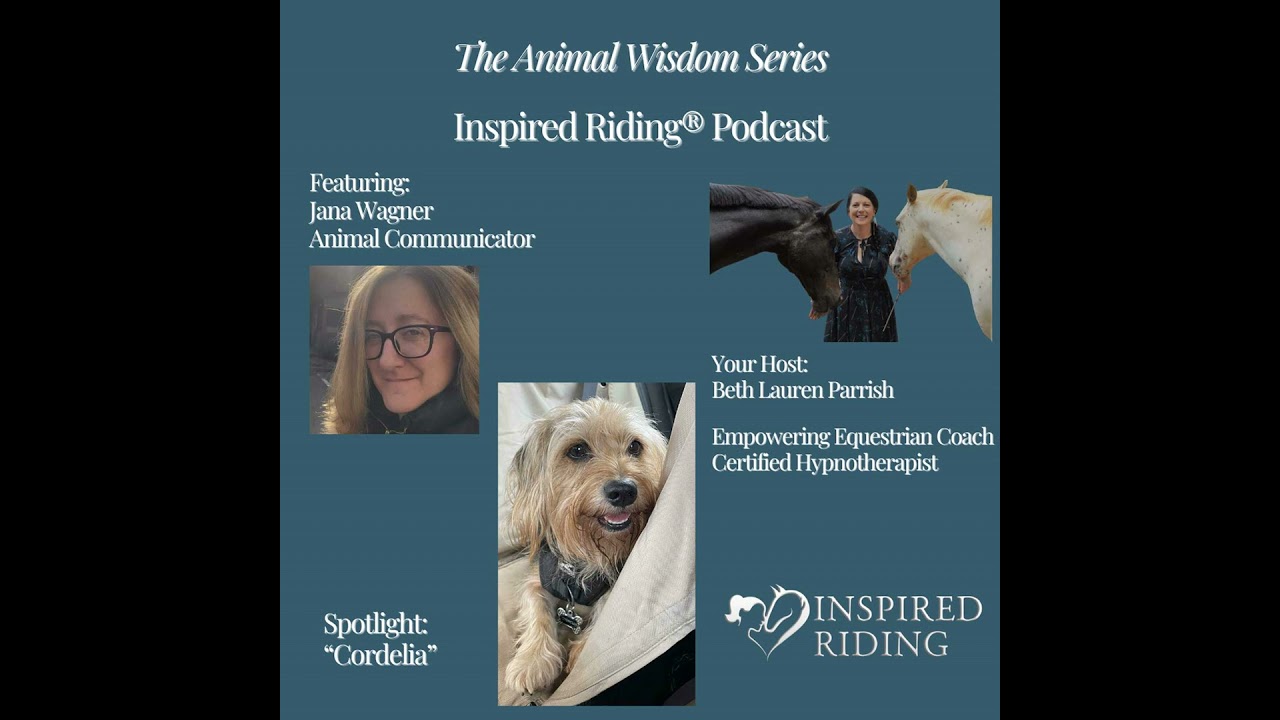 Move Into Your Magnificence. A conversation with Cordelia. Animal Wisdom Series.