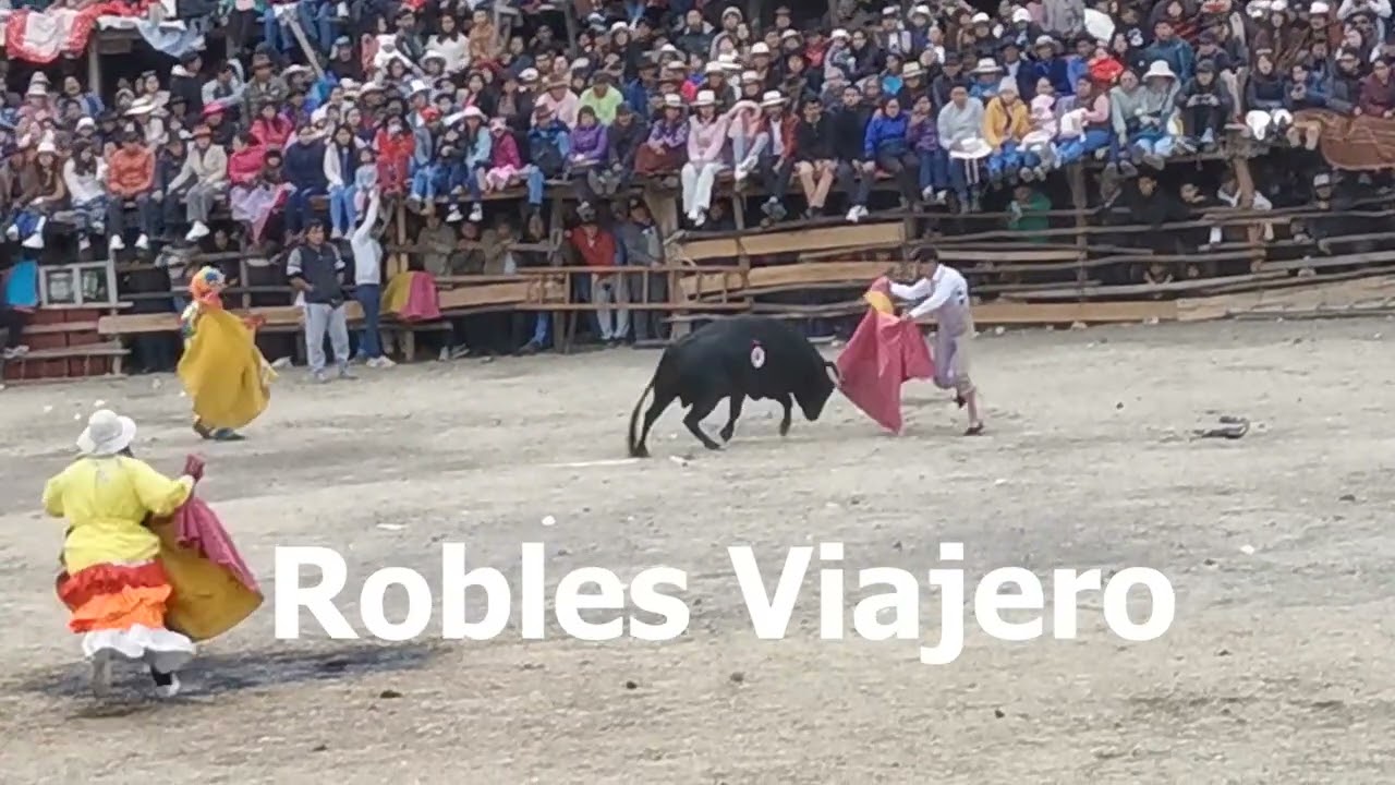 CHIQUIAN 2025 Primera Tarde Taurina / En Honor Santa Rosa de Lima /Chiquian 2025 👈