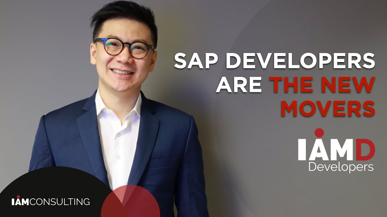 I AM Consulting - I AM Developers