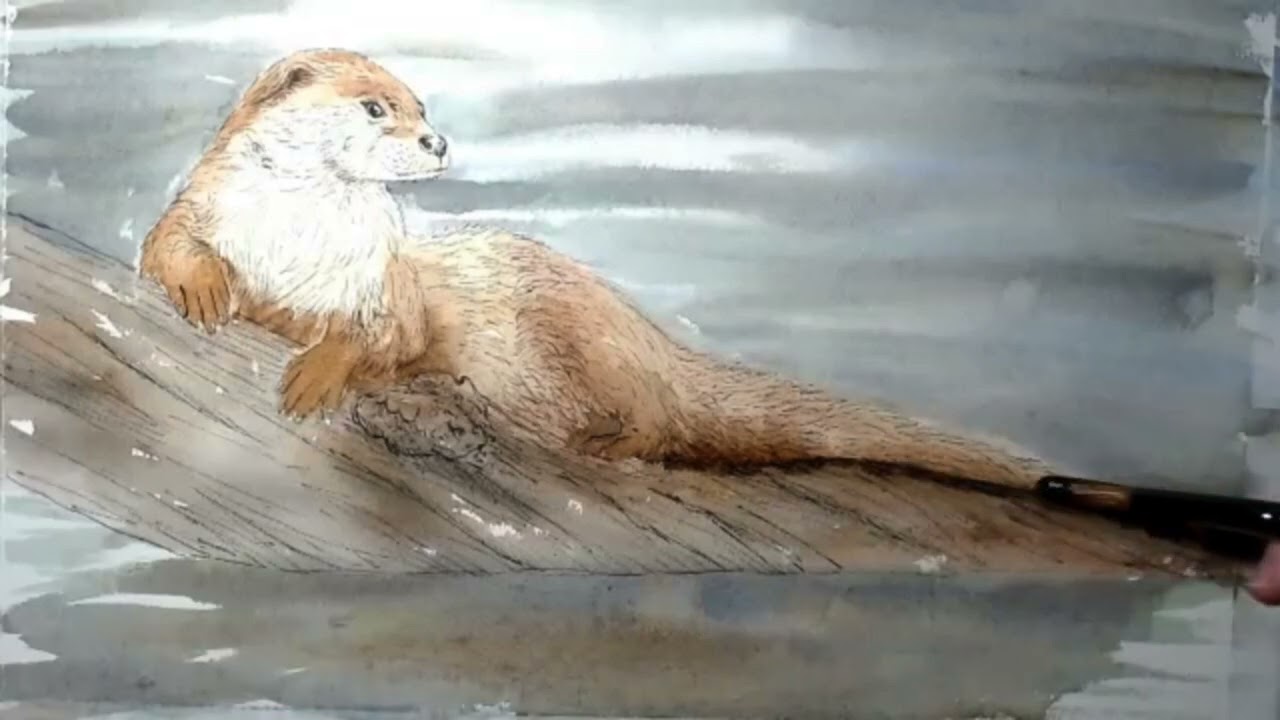 Coming Soon! British Wildlife in Watercolour