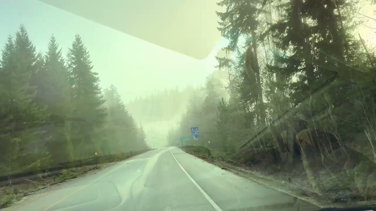 February Road Trip 4K | Pacific Northwest Winter Vibes: Mist, Sun & Pine Trees