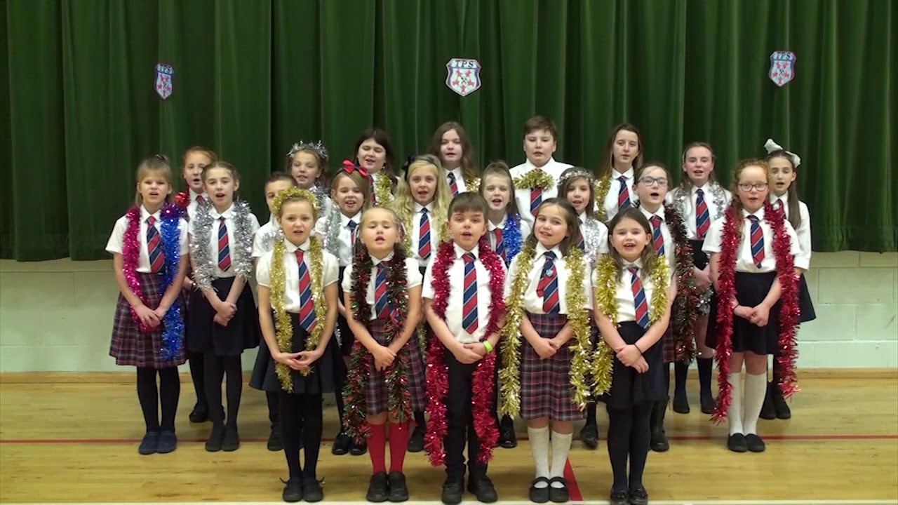Tannochside Primary 2019