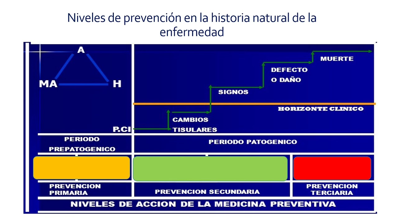 Niveles de prevención de salud